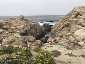 pebble beach california attractions and activities with kids trekaroo pebble beach california attractions