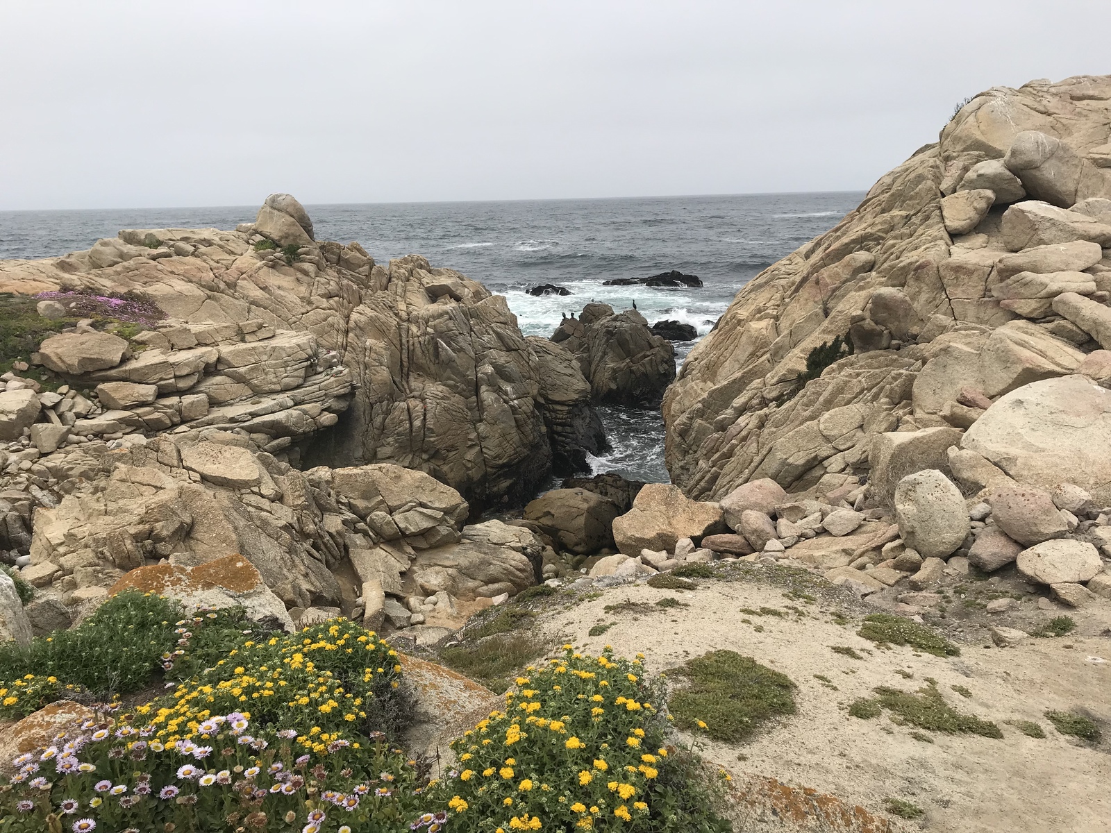 17 mile drive in Pebble Beach California Kid friendly