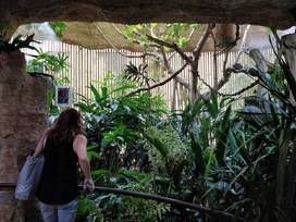 Dallas World Aquarium in Dallas, Texas - Kid-friendly Attractions
