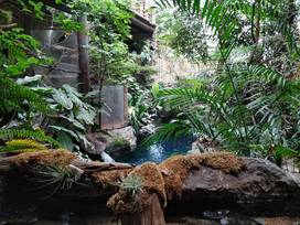 Dallas World Aquarium in Dallas, Texas - Kid-friendly Attractions