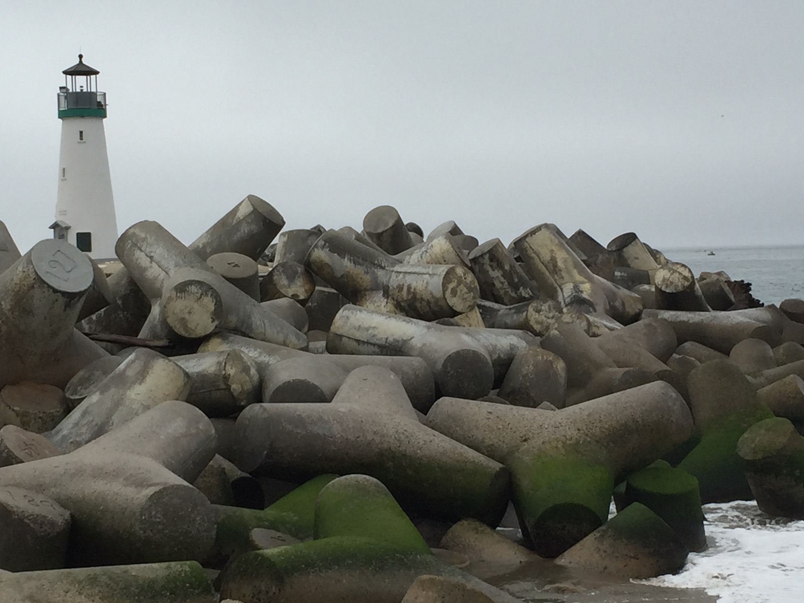 Seabright State Beach in Santa Cruz California Kid friendly