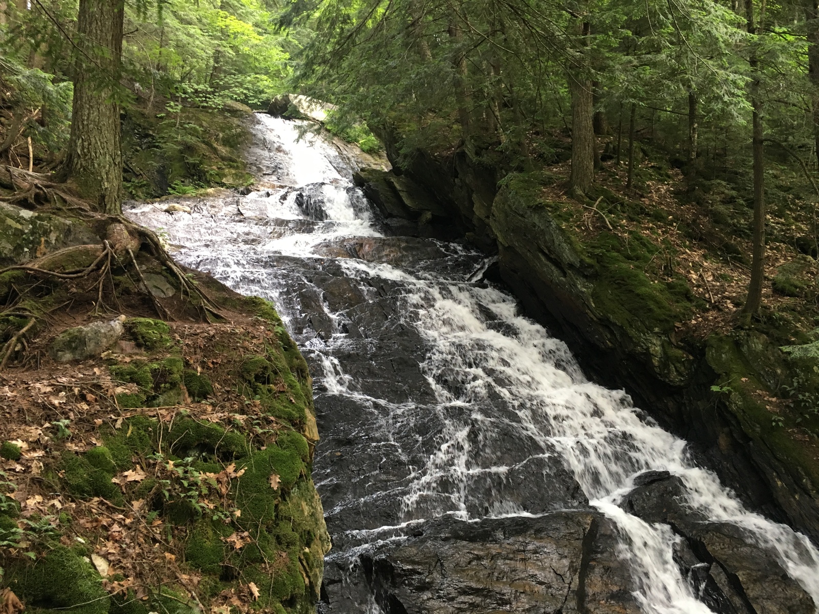 Thundering Brook Falls Trail in Killington, Vermont - Kid-friendly Attractions | Trekaroo