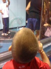 Lied Discovery Children's Museum in Las Vegas, Nevada - Kid-friendly