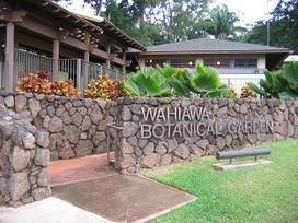 Wahiawa Botanical Gardens - Wahiawa, Hawaii