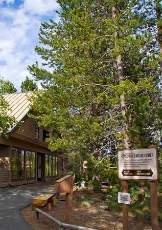 sunriver nature center animal jumping line