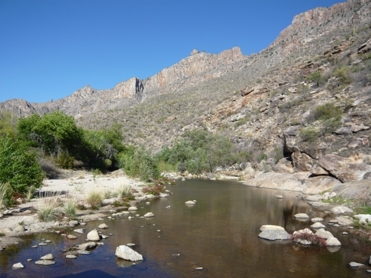 Sabino Canyon Tours in Tucson, Arizona - Kid-friendly Attractions ...