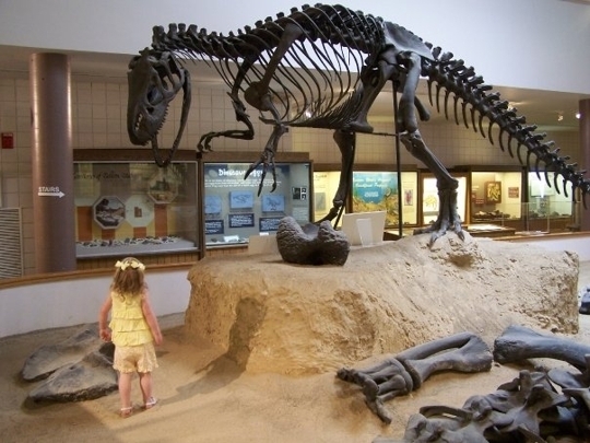 USU Eastern Prehistoric Museum In Price, Utah - Kid-friendly ...