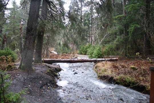 Winner Creek Trail in Girdwood, Alaska - Kid-friendly Attractions ...