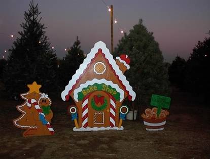 Best Christmas Tree Farms In Dallas/Ft. Worth! | Trekaroo
